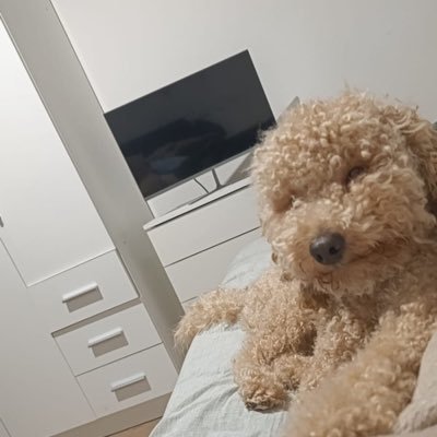 TajFatal's profile picture. 