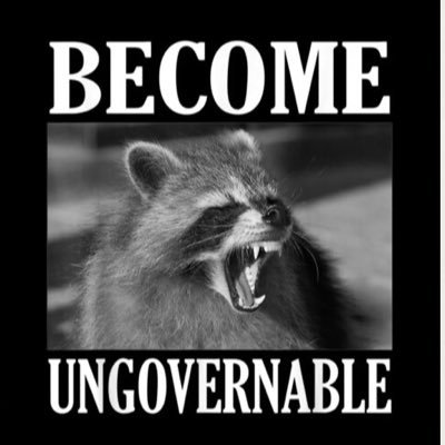 Okie, very pro-2a, constitutional conservative, no DMs