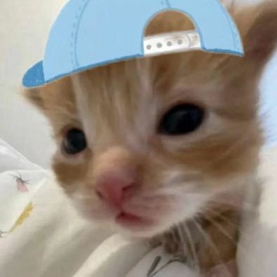 baoowioo_o's profile picture. 구독계티비