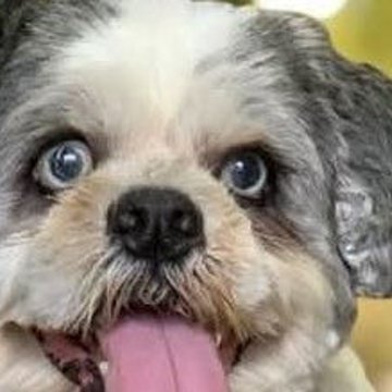 Yuko45792's profile picture. 