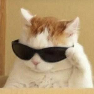 Mecoolcoolcool's profile picture. 