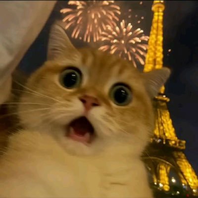 sundaymood22's profile picture. 
