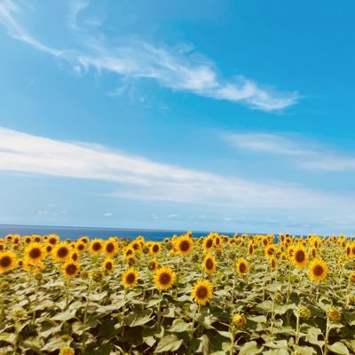 trtr4444trtr's profile picture. 