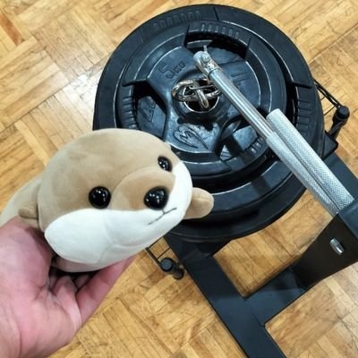 ABC_300kg's profile picture. 高1、筋トレと握力トレしてる人です。BIG3トータル500kg目標、2024年の夏から筋トレ開始。