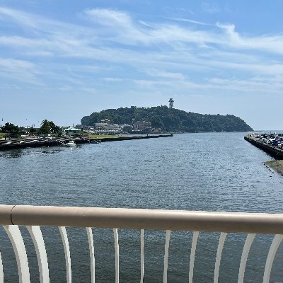 butaniKotatsu's profile picture. アニメ、ラノベ好き（最近はもっぱら青ブタ）の男子大学生です！！仲良くしてくださる優しい方募集中のため無言フォロー大歓迎&無言フォロー失礼します！