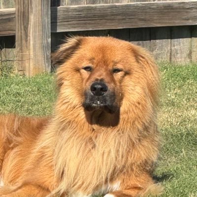 RubeyMark's profile picture. Proud dad and grateful husband “If you pour some music on whatever’s wrong, it’ll sure help out.” -Levon Helm