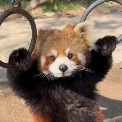 Crane3mole6's profile picture. 