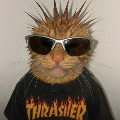 stellurt's profile picture. average nickelback enjoyer