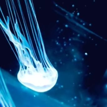 Yura_xn0328's profile picture. 消されたとき用といろいろ
@Yura_x0328