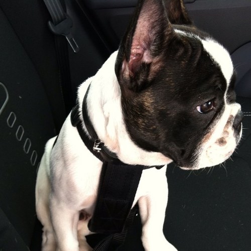 stenrop's profile picture. 