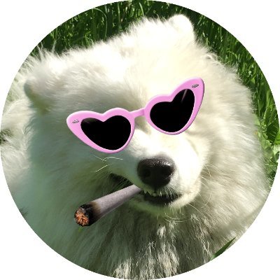 Bobolink1669575's profile picture. Axie curious!