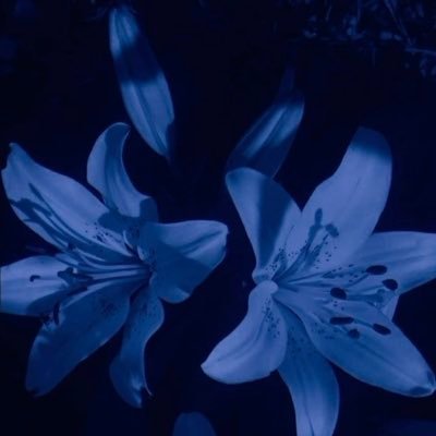 Izzy_9810's profile picture. 