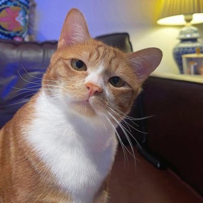 RainbowwCandy's profile picture. 