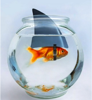 jeffpanas's profile picture. 