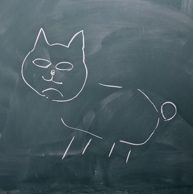 Tamadwow_555's profile picture. 齢19フリーター()男 危機官ﾗｸｶﾞｷｽﾄ 大体アズレン 他雑多