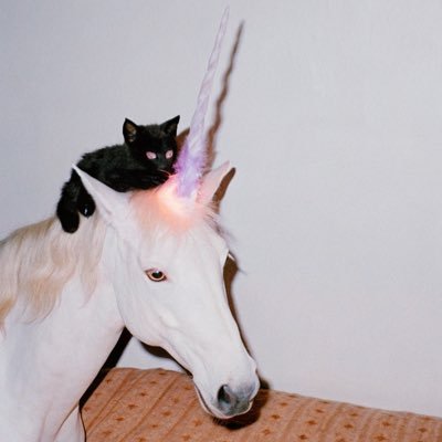 sako_jing's profile picture. #紫陌红尘 #KillToLove #紫陌紅塵 #張哲旭 #弭金 #旭日流金 🖤❤️キョクジツリュウキン