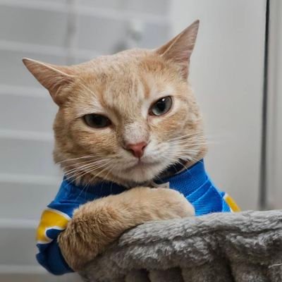 tragynus's profile picture. 