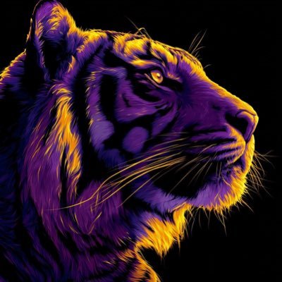 tiger19540's profile picture. 