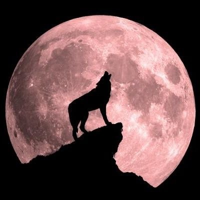 OsmanAslan73087's profile picture.