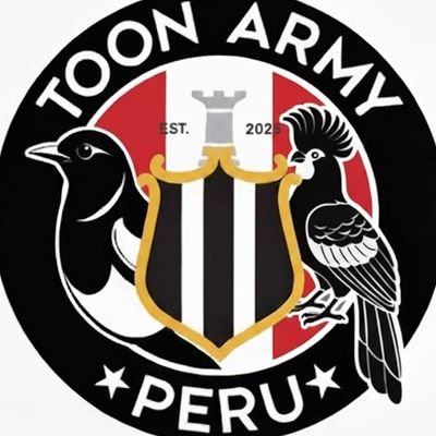 ToonArmyPeru's profile picture. La Toon Army desde Perú ✨⚫⚪ #NUFC