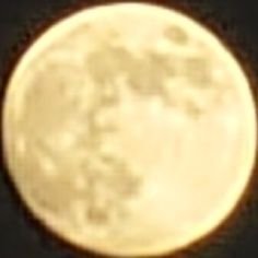 tominao1973's profile picture. 2021年再起動からの返り咲きFANKS💐“あの頃の気持ち✨”をすっかり取り戻しマイペースで推し活中🌌木根さん寄り、箱推し🌏人見知りながら、FANKSの皆さんと繋がりたくてＸを始めました🙇いいね多め😚