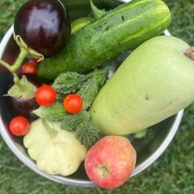 naturenature108's profile picture. 