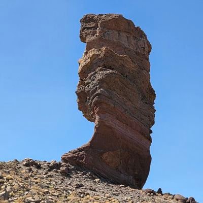 nsfairbanks's profile picture. On the fence about pretty much everything. 

Optimistic pessimist. 🤣 1st love and last love is music. Musician; Guitar, keyboards, almost anything actually 🥰