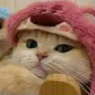 joylulu909's profile picture. 