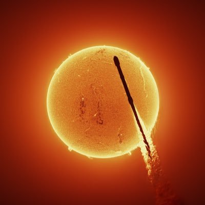 xrpcase's profile picture. 🇳🇱🇸🇪🇺🇸 A scientific theory that is impervious to disproof isn't a theory, it's fascistic sophistry. (Ann Coulter)