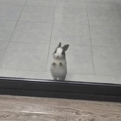 monZoyear's profile picture. 드림🐰🦊 || NCT💚 || RIIZE🌾 || Kissy💋 || HQ!! || 🪐 || 🦆🐰