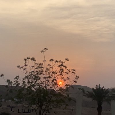 alikhmmash1992's profile picture. 