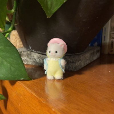 F3llps_12's profile picture. Mexa 🌸, 17 bro 😎, English/Español 🦋, 03/04 🎂.