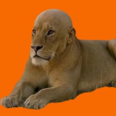 tjlek's profile picture. 