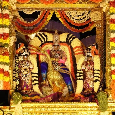 VBVP AP STATE PRESIDENT.
(వీర భగత్ సింగ్ విద్యర్థి పరిషత్ రాష్ట్ర అధ్యక్షులు.).