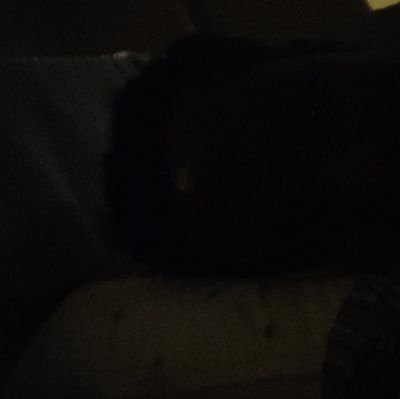 mgbcx's profile picture. 