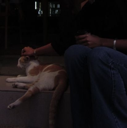 A7AR7A7's profile picture. MD,or mybe Mdd