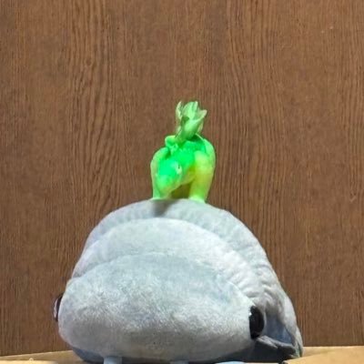 _08ks's profile picture. 