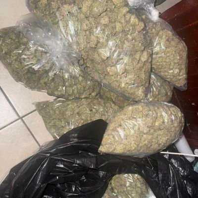 It hits for pills💊, LSD🧩, Coke❄️, shrooms🍄, and kush ⛽️ all about that trippy vibe tap'n 📦✈️ Telegram: https://t.co/x6xTOocaWB