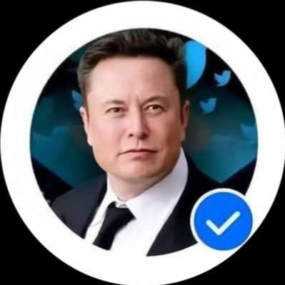 EL0N_MUSKX6's profile picture. 