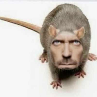 HoshiStan13's profile picture. oi eu sou o olaf e gosto de abraços quentinhos '-'