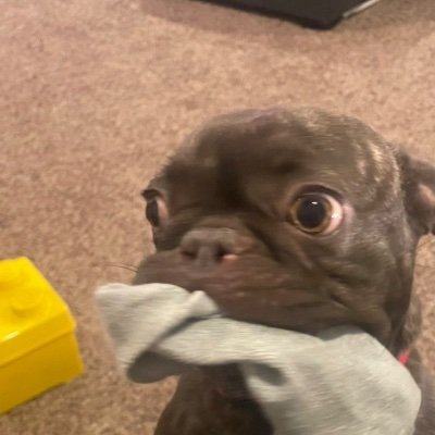 nathanbottotuff's profile picture. 