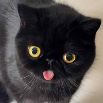 JamesDOTCOM_'s profile picture. Just a tech