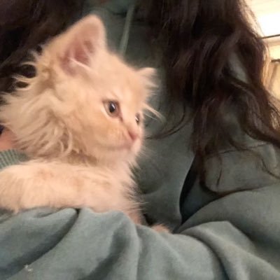 lifeandgossipxo's profile picture. I’m here to gossip
