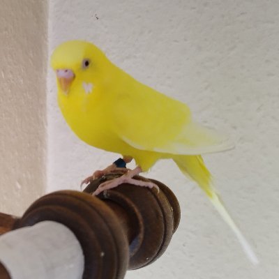 Ben49419771's profile picture. 