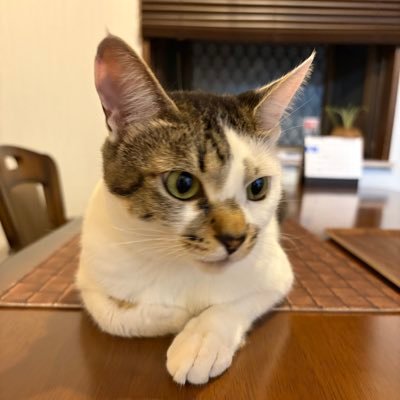 nmtn_bnk's profile picture. 三重中部/筋トレ/バイ/リバ/FTM好き/18センチ/ねこ/寝取り寝取られ好き