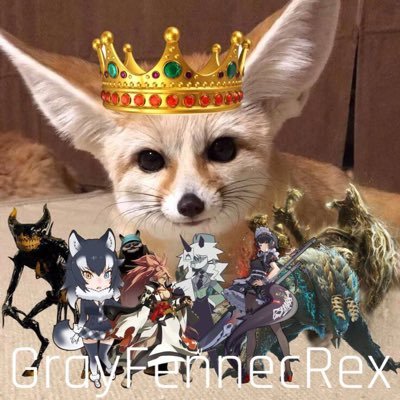 Hi, My name is GrayFennecr4x but you can just call me Gray. I am a 18 year old who enjoys fanart, games, anime etc. I’m a boy who wants to be like others.