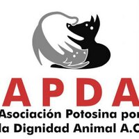 APDA_AC (@apda_ac) 's Twitter Profile Photo APDA_AC (@apda_ac) 's Twitter Profile Photo