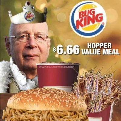SlimyCakes's profile picture. François Bayrou’s Accountant | Joe Wilson Stan | CEO of Trussonomics | Deporter of MAGA Latinx | Standing Athwart History Yelling Continue | Hochul 2026