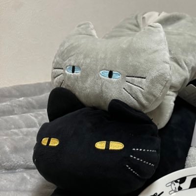 備忘録️📝／ソシャゲは刀剣乱舞、ツイステ、ポケポケ／交換垢も兼ねています（🌈🕒周辺B済25↑、専用垢ではないため取引完了後DM削除→B解
