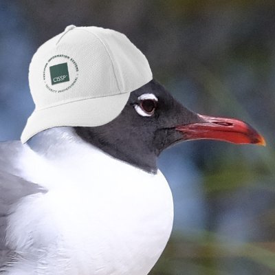 @CISSPSeagull